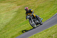 Vintage-motorcycle-club;eventdigitalimages;mallory-park;mallory-park-trackday-photographs;no-limits-trackdays;peter-wileman-photography;trackday-digital-images;trackday-photos;vmcc-festival-1000-bikes-photographs